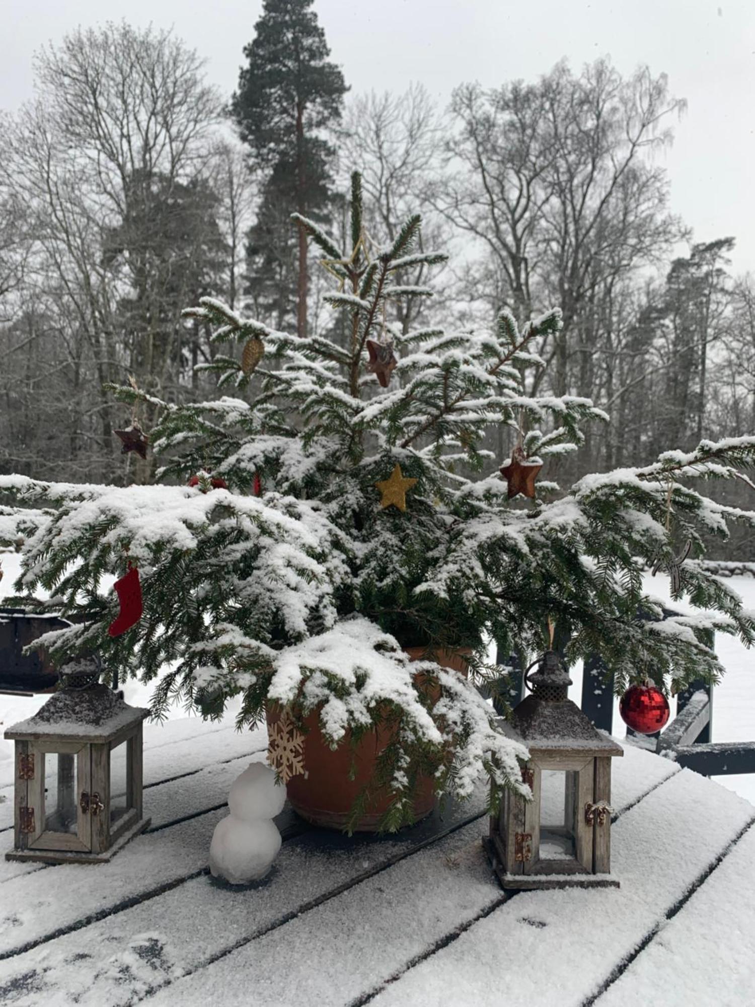 Mednieku Namins Villa Sigulda Exterior foto